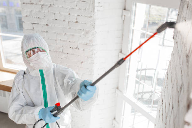 Best Mold Prevention Services  in Pleasantville, IA
