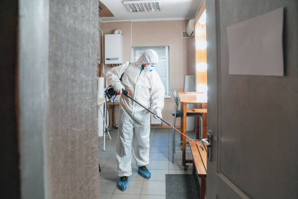 Best Mold-Related Health Consultation  in Pleasantville, IA