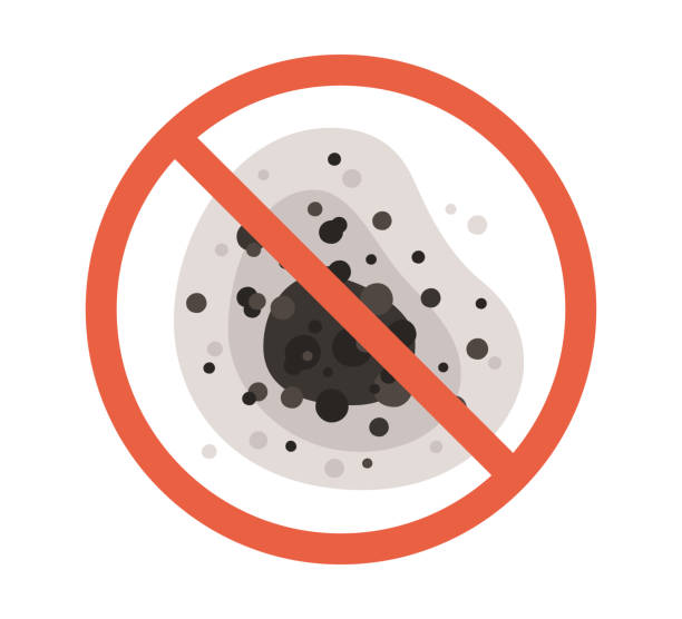 Best Emergency Mold Remediation  in Pleasantville, IA