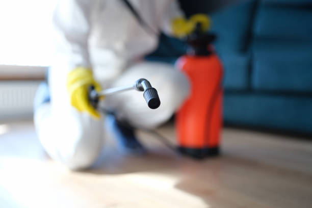 Reliable Pleasantville, IA Mold Removal Solutions