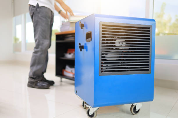 Best Mold Documentation for Insurance Claims  in Pleasantville, IA