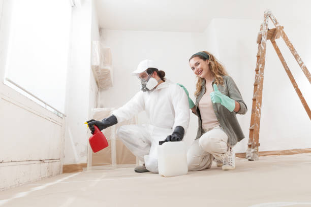 Best Air Quality Testing for Mold Spores  in Pleasantville, IA